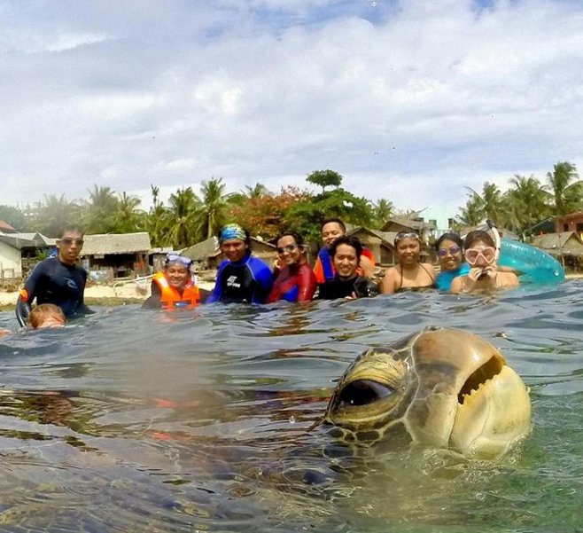 Najlepšia SELFIE fotografia roka! Táto korytnačka valcuje internet